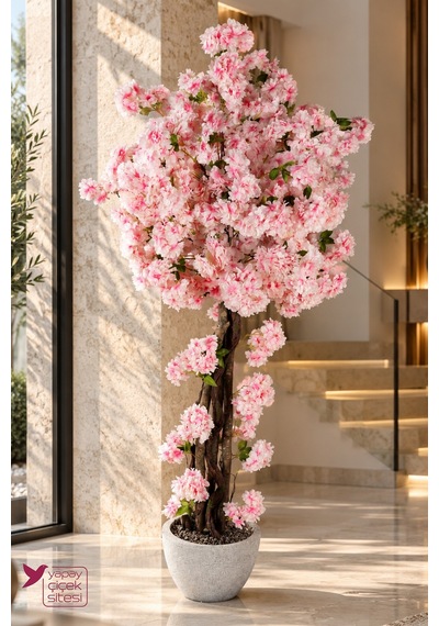Yapay Çiçek Sitesi Bohem Saksıda Yapay Premium Bahar Dalı Ağacı 200 Cm Karşılama Alanı Dekorasyonu Pembe