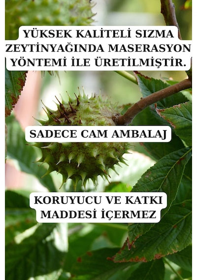 At Kestanesi Yağı 20ml - Doğal At Kestanesi Yağı 20 ML