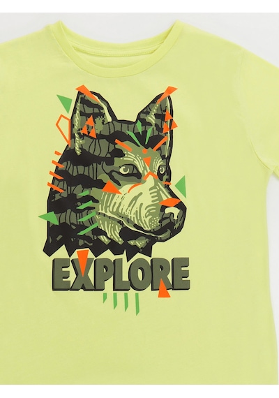 Denokids Mushi Kaşif Kurt Erkek Çocuk T-Shirt Kapri Takım Çok Renkli