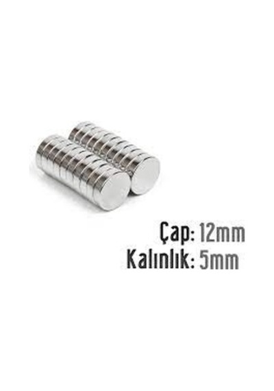 Neodyum Mıknatıs 12x5 Mm 10 Adet