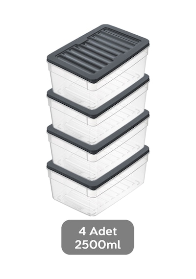 4'lü Derin Buzdolabı Organizer Set Düzenleyici Saklama Kabı Mikrodalga Difriz Kabı 2500 ML Antrasit