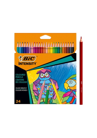 Bıc Color Up Üçgen Kuru Boya 24 Lu