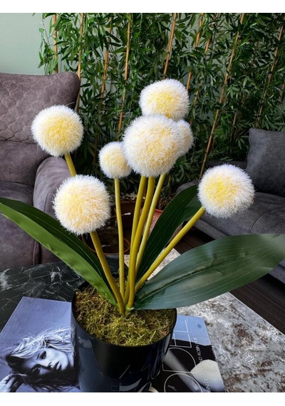 Yapay Çiçek Sarı Pompon Siyah Saksıda Dekoratif Yapay Çiçek 30 20cm