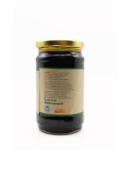 Organik Dut Pekmezi 380 G