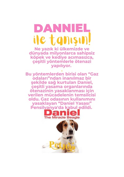 Petjoo 21.Danniel Sarı-Pembe Qr'lı Köpek Künyesi