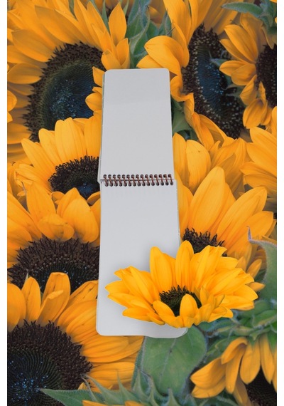 10x19 Cm 80 Yaprak Defter Çizgisiz Üstten Açılır Karton Kapak Not Defteri 60 Gr Beyaz Kağıt Çok Renkli