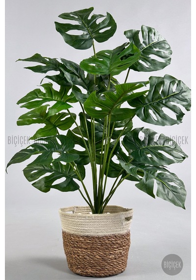 Yapay Monstera Deve Tabani 65 Cm Hasir Saksıda Krem