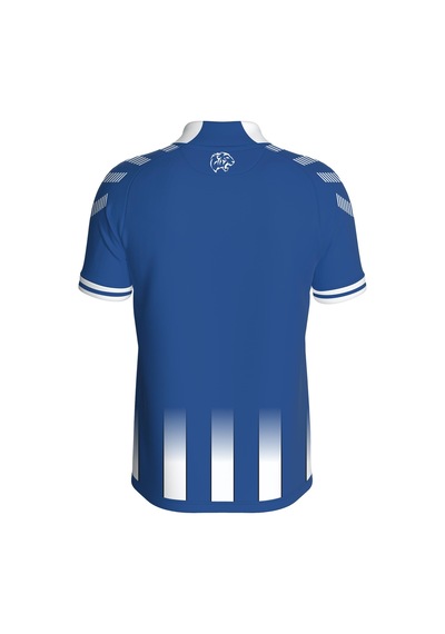 Hummel Sincan Belediyesi Ankara Spor Çizgili Forma 25/26 Tek Üst Beyaz