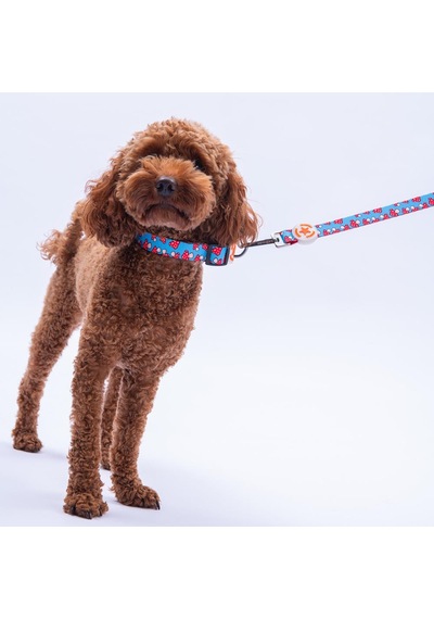 Mushroom Mantar Desenli Köpek Boyun Tasması Ayarlanabilir Köpek Tasması S Kırmızı
