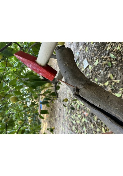 Bakır Çivi 3cm 25adet
