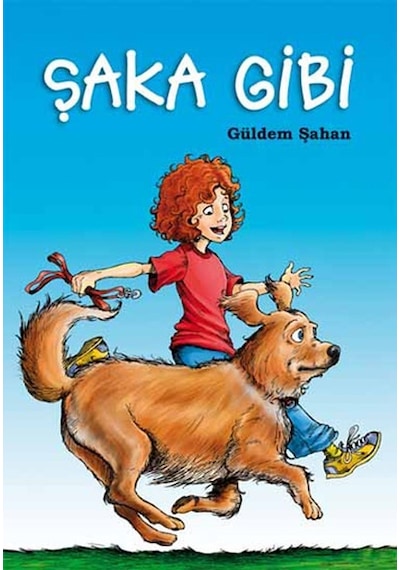 Şaka Gibi   Kitap
