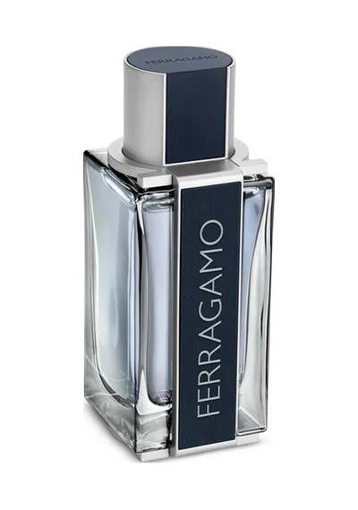 Ferragamo Men Erkek Parfüm EDT 100 ML