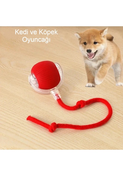 Akıllı Kendiliğinden Dönen Kedi Oyuncağı 360 Şarjlı Hareket Eğlence ve Egzersiz Kırmızı