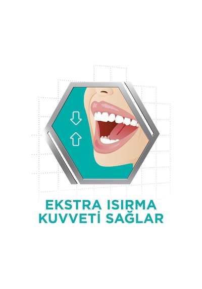 Diş Protezi Yapıştırıcı Krem Naneli 40 Gr X3 Adet