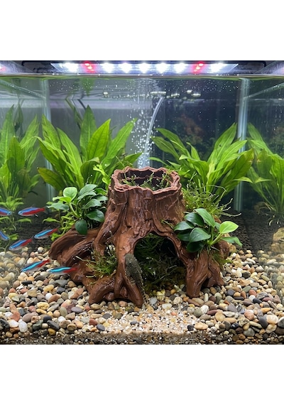 3d Akvaryum Dekoru Geniş Ağaç Kökü Kütük Mağarası Kp3d103105 Batan Süs 22x24x10.5 Cm