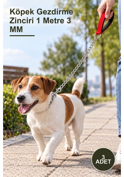 3 Adet Köpek Gezdirme Zinciri 1 Metre 3 Mm