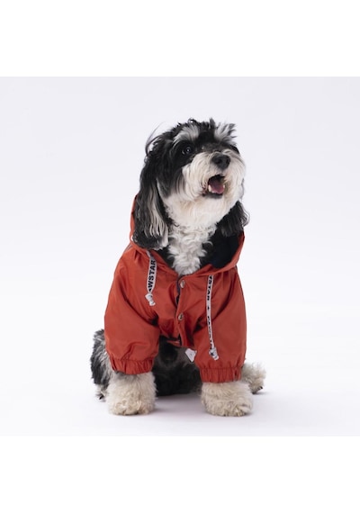 Pawstar Turuncu Pluvia Kedi Köpek Mont Kedi Köpek Kıyafeti