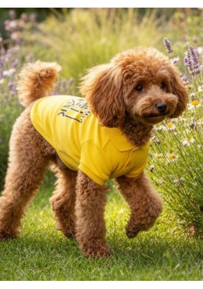 Miniş Yellow-black Küçük Irk Köpek Pike Kumaş Polo T-shirt-21583