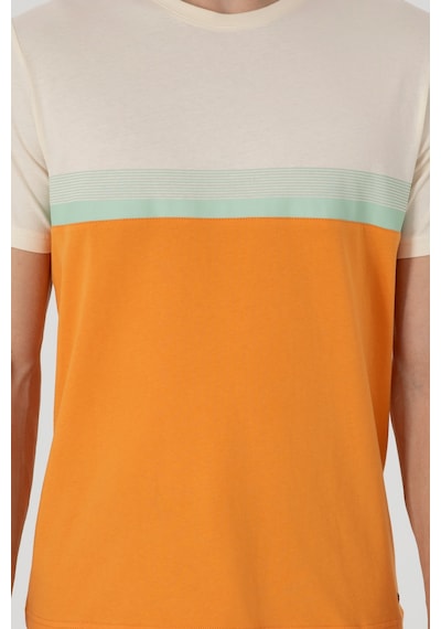 U.S. Polo Assn. Erkek Regular Fit Bisiklet Yaka Turuncu Tişört 50306899-VR051