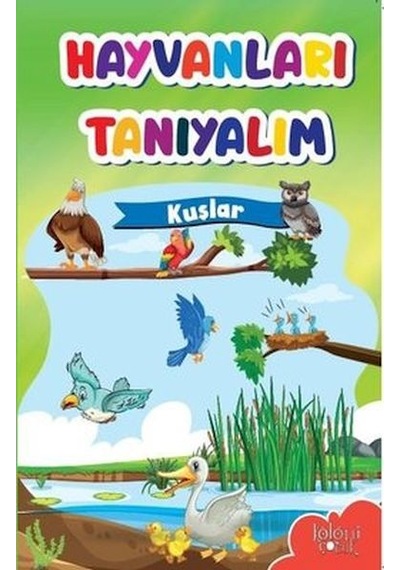 Muhteşem Çizimler Ve Kolay Anlatım İle Hayvanları Tanıyalım Kuşlar