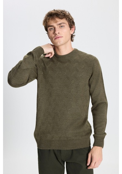 AC&Co / Altınyıldız Classics ERKEK HAKI Standart Fit Normal Kesim Bisiklet Yaka Jakarlı Triko Haki AC&Co / Altınyıldız Classics ERKEK HAKI Standart Fit Normal Kesim Bisiklet Yaka Jakarlı Triko Haki