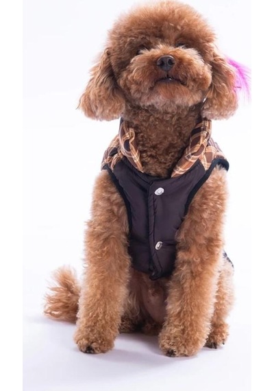 Pawstar Kahverengi Elgin Paws Su İtici Küçük Irk Köpek Puf Yelek Yağmurluk