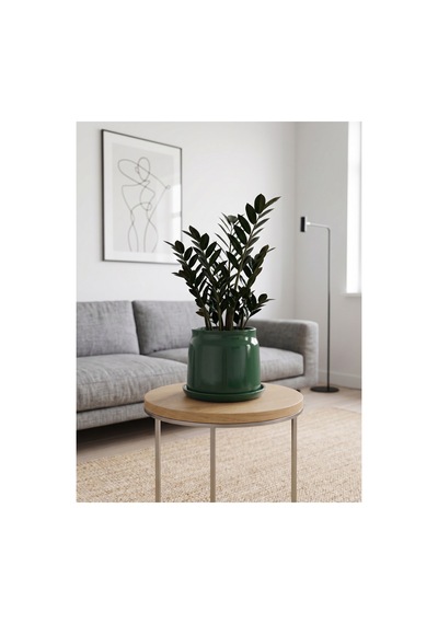 Echo Seramik Saksı Parlak Yeşil Jade Green Çap:21cm Yük:16cm Tabaklı