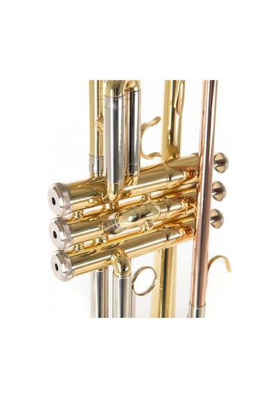 Roy Benson Tr-202 Trompet Sarı Pirinç Standart Bb Trompet