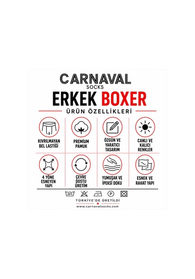 Carnaval Socks Carnaval Wild Orbit Erkek Boxer 3'lü Set Çoklu