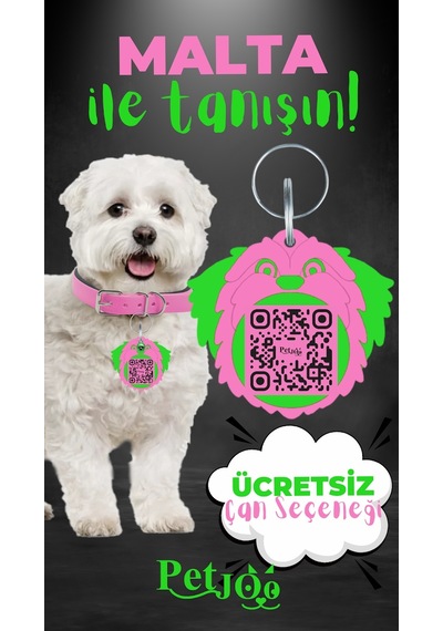Petjoo 12.Malta Yeşil-Pembe Qr'lı Köpek Künyesi