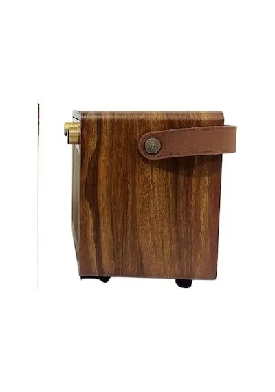 Kts 1687 10 W 4" Mikrofonlu Bluetooth Speaker Kablosuz Karaoke Hoparlör