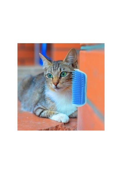Kaşınma Kedi Duvar Köşe Rahat Temizleme Masaj Fırçası
