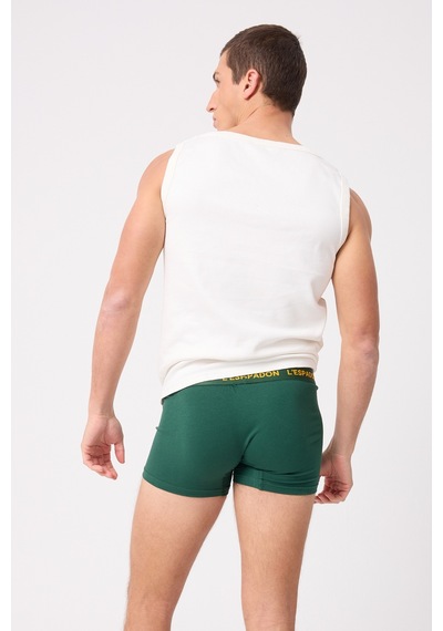 L'espadon Maritime Elite Koleksiyonu Elastik Konforlu Bel Bantlı Çizgili Erkek Trunk Boxer-3236 Yeşil