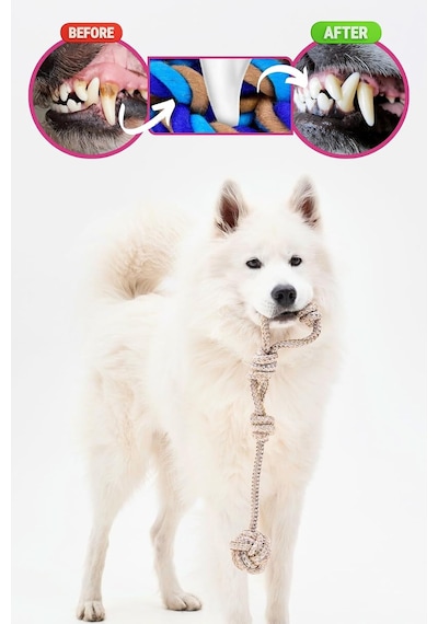 Dörtlü Set Köpek Oyuncağı Sesli Çekiştirmeli Peluş İp Oyuncak Köpek Oyun Topu Pembe