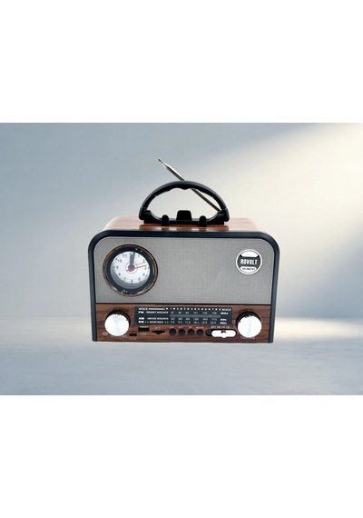 Taşınabilir Bluetooth Radyo - Nns Ns-6697bt