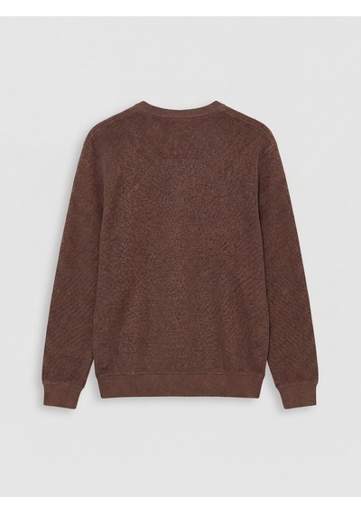 Lcw Vision Kahverengi Regular Fit Bisiklet Yaka Erkek Triko Sweatshirt