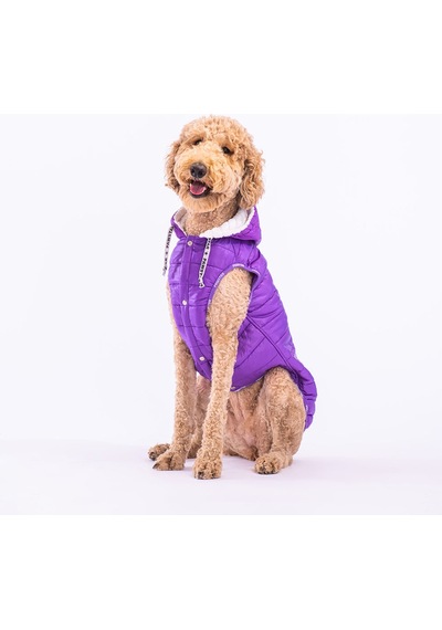 Pawstar Mor Railway Orta ve Büyük Irklar İçin Anorak Köpek Yeleği