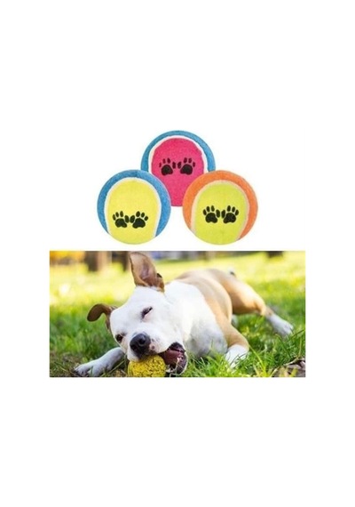 Tenis Topu Köpek Eğitim Oyuncağı - Dayanıklı Ve Eğlenceli Köpek Oyun Topu Tenis, Adet, 3
