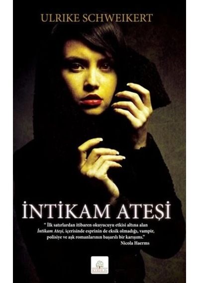 İntikam Ateşi-roman