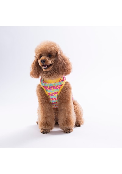 Lemon Party Tişört Kedi Köpek Tişörtü-kedi Köpek Kıyafeti