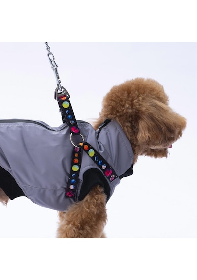 Gri Nuuk Yelek Köpek Yeleği Köpek Kıyafeti Köpek Yağmurluk