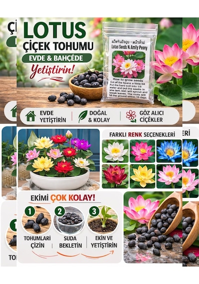 20 Adet Lotus Çiçeği Tohumu Nilüfer Çiçeği Karışık Renkli Orjinal Lotus Su Ve Toprakta Yetişir Çok Renkli