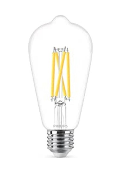 60w St64 E27 Kısılabilir Filament Ampul Wgd90 Diğer