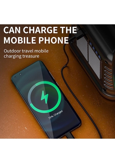 Wison Ws-4343 Çok Fonksiyonlu Powerbanklı Solar Şarjlı Kamp Lambası Standart