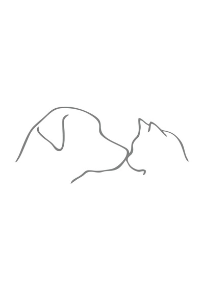 Kedi Ve Köpek Sticker 17x17 Cm Gri