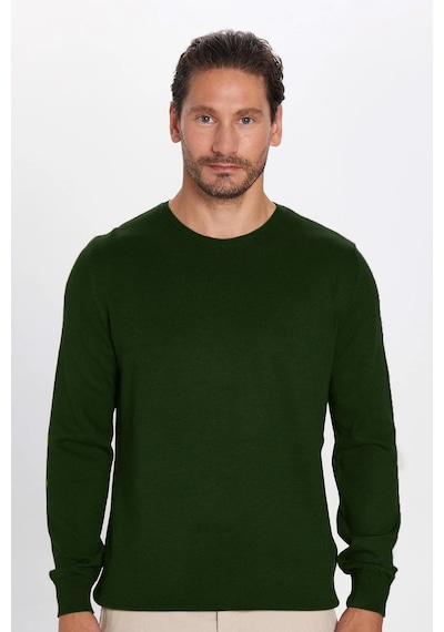 Tudors Erkek Slim Fit Dar Kesim Bisiklet Yaka Yeşil Triko Kazak-32482 Yeşil