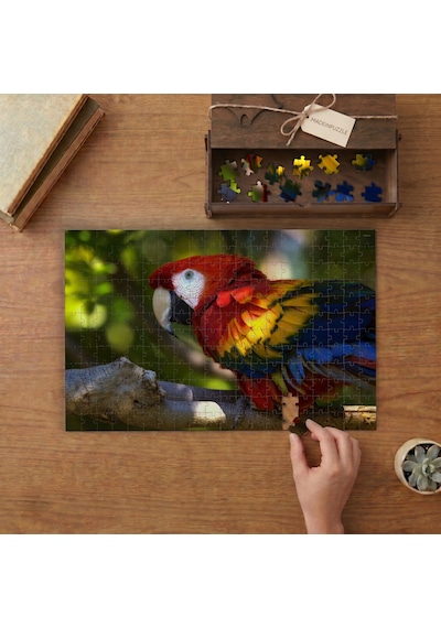 Kızıl Ara Papağanı Tasarımı 240 Parça Ahşap Puzzle Ahşap Kutuda Mpy60105