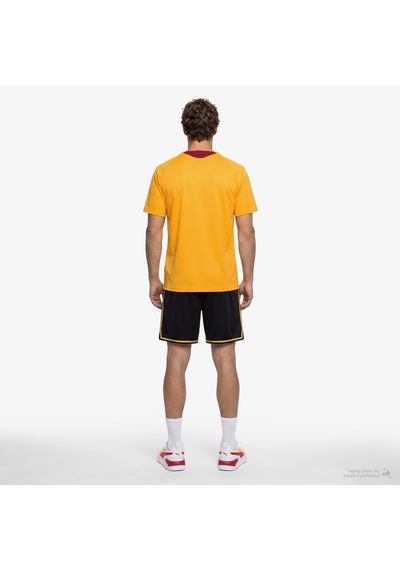 Puma Galatasaray 26/27 Erkek Sarı Antrenman Forma 786805 Siyah
