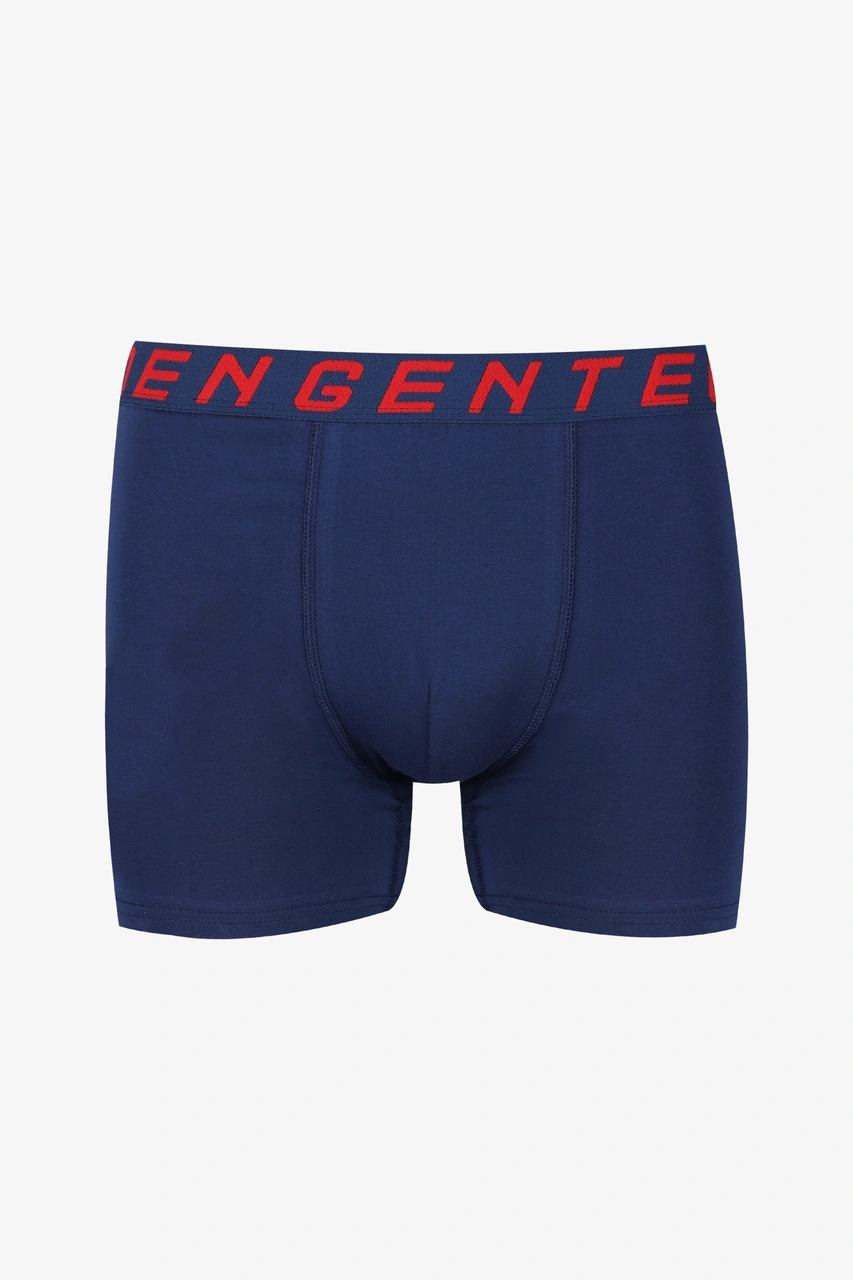 Koza İç Giyim Erkek 2'li Pamuklu Likralı Boxer Ko9003bx.02 Lacivert