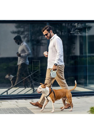 Ayrex Madpet Otomatik Köpek Tasması 3 Metre Gri Geri Çekilebilir Kilitli Makara Sistemi Dayanıklı Şerit Ha Genel